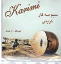 Setar Strings - Karimi